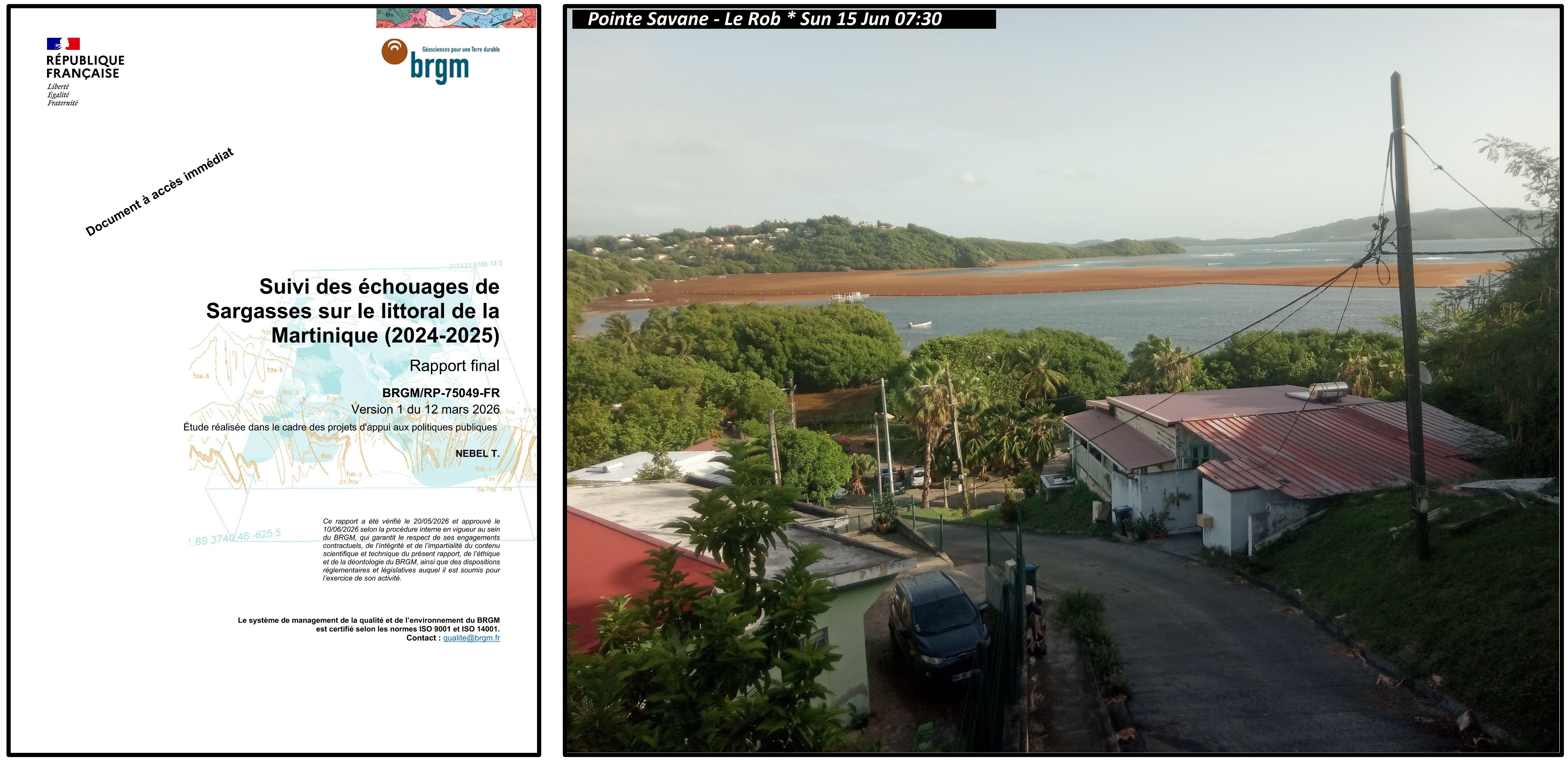 Suivi des échouages de sargasses sur le littoral de la Martinique (2024-2025)