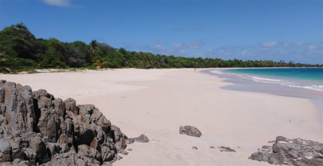 La plage de Grande anse des Salines à Sainte Anne (Sud Martinique) accueille chaque année plus d’un million de visiteurs.
© BRGM - Clément Bouvier
 Grandes Salines