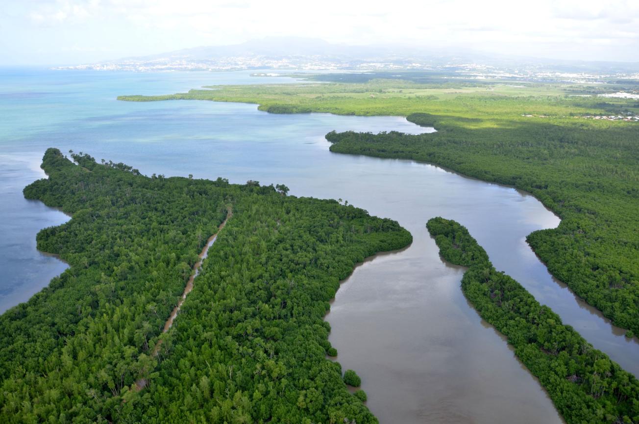 Baie de Génipa