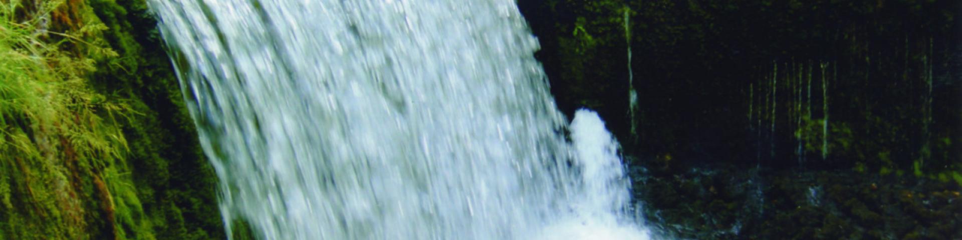 La source du Doubs à Mouthes (Mouthes, Jura, 2006).
© BRGM - Denise Théau
La source du Doubs