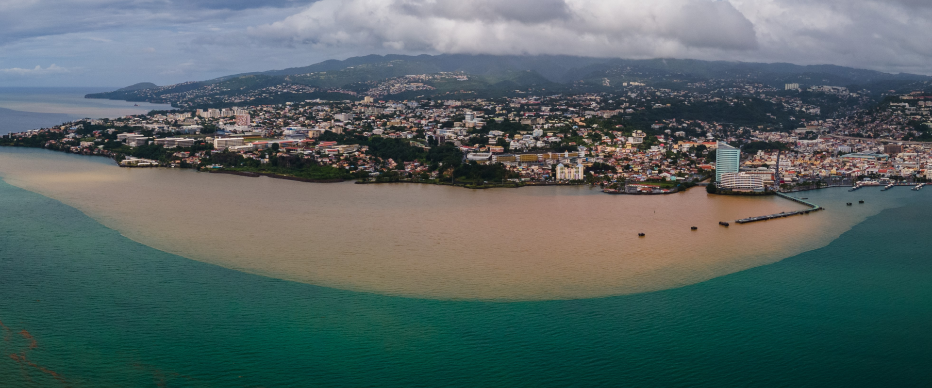 Baie de Fort-de-France (Panache)