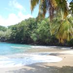 Plage de l'anse Dufour (2014)