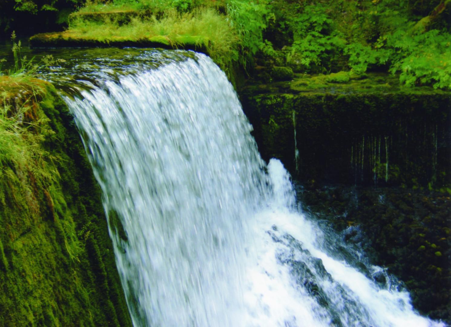 La source du Doubs à Mouthes (Mouthes, Jura, 2006).
© BRGM - Denise Théau
La source du Doubs